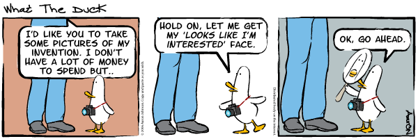 What the duck, strip 6