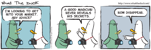 What the duck, strip 17