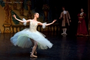 New Classical Ballet of Moscow, Cinderella, photo 20