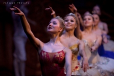 Balletto di Mosca, La bella addormentata, foto 6