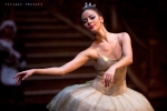 Balletto di Mosca, La bella addormentata, foto 7