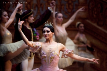 Balletto di Mosca, La bella addormentata, foto 22