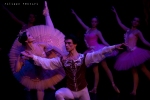 Balletto di Mosca, La bella addormentata, foto 44