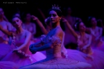Balletto di Mosca, La bella addormentata, foto 48
