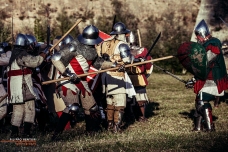 A.D. 1387 – Battaglia di Terra del Sole, foto 17