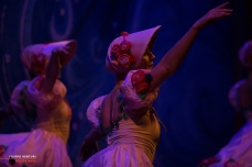 Moscow Ballet, The Nutcracker, photo 50