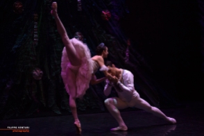 Moscow Ballet, The Nutcracker, photo 59